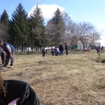 DSC05390