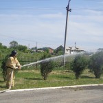 DSC06064