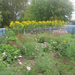 DSC06479