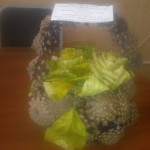 Exif_JPEG_420 Exif_JPEG_420