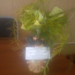 Exif_JPEG_420 Exif_JPEG_420