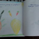 IMG_20170413_144923