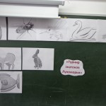 DSC02279