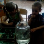 IMG_20170528_223221_783