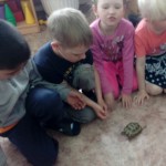 IMG_20170528_223545_869