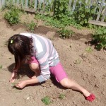 IMG_20170619_132525_069