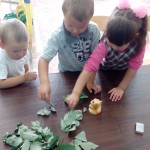 IMG_20170913_102426