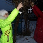 SAM_2501
