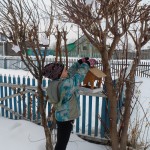 SAM_2631