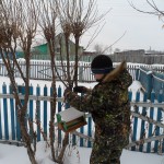 SAM_2632