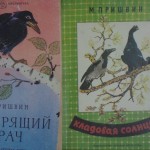 SAM_2808
